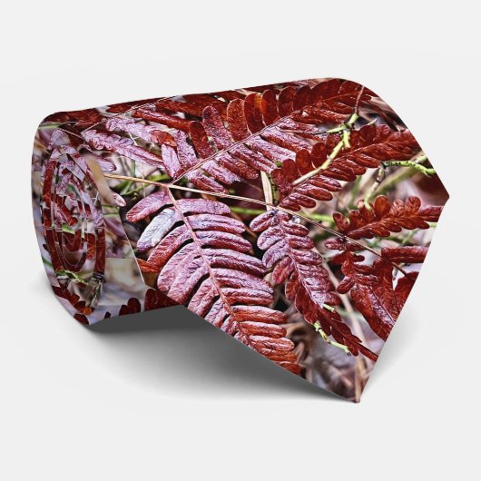 Neck-Krawatte/Rotfarn Krawatte (Gerollt)