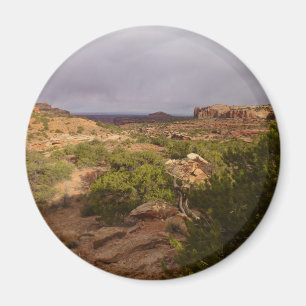 Neck Springs Trail im Canyonlands National Park Magnet