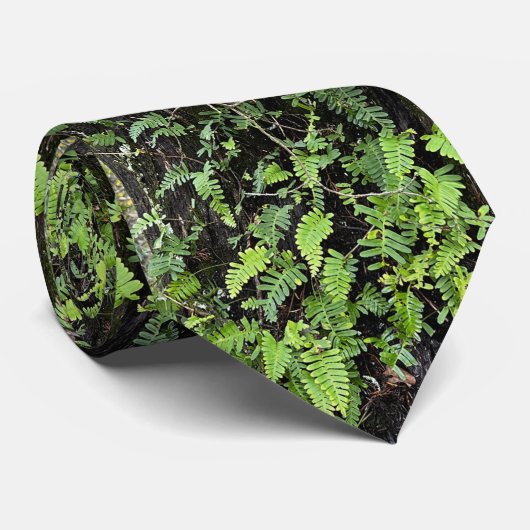 Neck Tie / Baum fern Krawatte (Gerollt)
