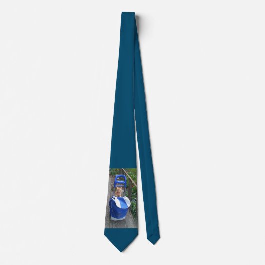 Neck Tie Ginger Cat Krawatte (Vorderseite)