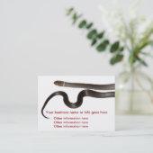 Necked Visitenkarten Schlange des schwarzen Ringes Visitenkarte (Stehend Vorderseite)