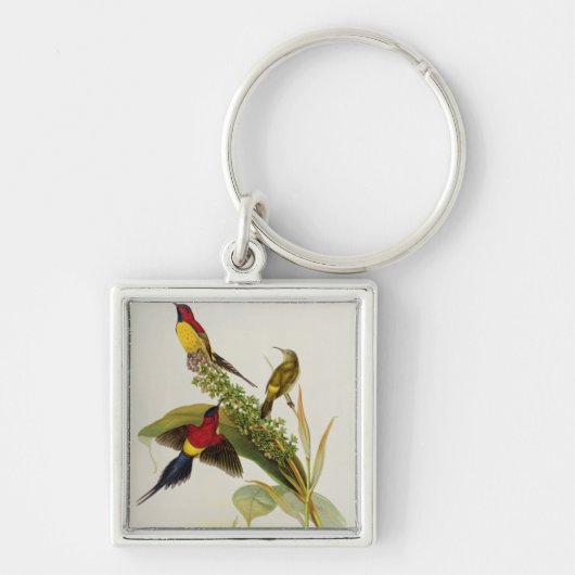 Nectarinia Gouldae Schlüsselanhänger (Vorne)