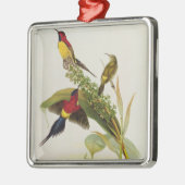 Nectarinia Gouldae Silbernes Ornament (Links)