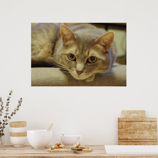 Nedda Poster (Küche)