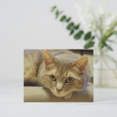 Nedda Postkarte (Stehend Vorderseite)