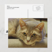 Nedda Postkarte (Vorne/Hinten)