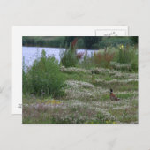 Nedereindse Plas Postkarte (Vorne/Hinten)