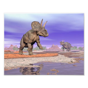 Nedoceratops/diceratops Dinosaurier in der Natur Fotodruck