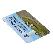 Ned's Point Lighthouse, Massachusetts Foto Magnet (Rechte Seite)