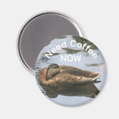 Need Coffee Sleepy Duck Funny Magnet (Vorderseite/Rückseite)