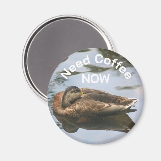 Need Coffee Sleepy Duck Funny  Magnet (Vorderseite/Rückseite)
