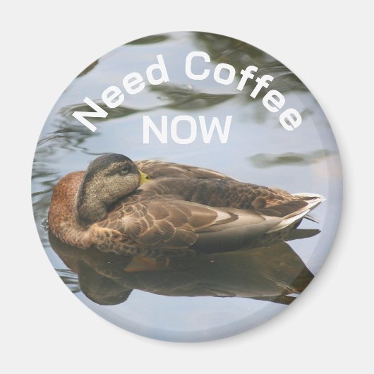 Need Coffee Sleepy Duck Funny Magnet (Vorne)