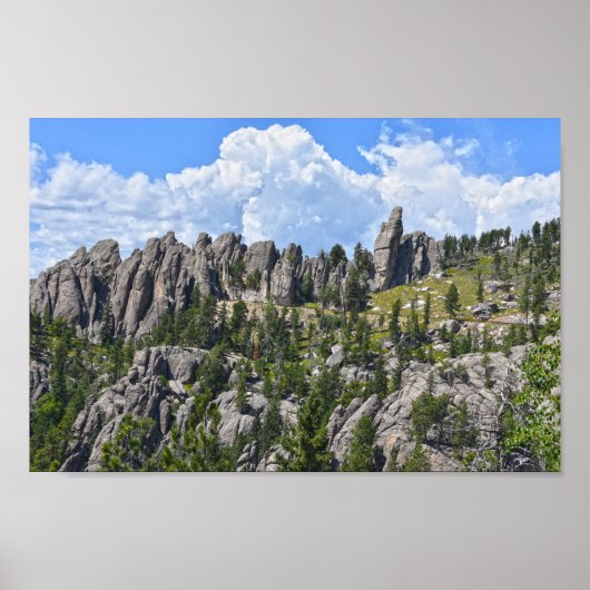 Needles Highway, Black Hills, South Dakota Poster (Vorne)