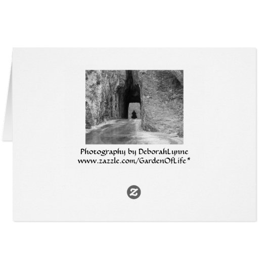 Needles Highway Tunnel (Rückseite Horizontal)