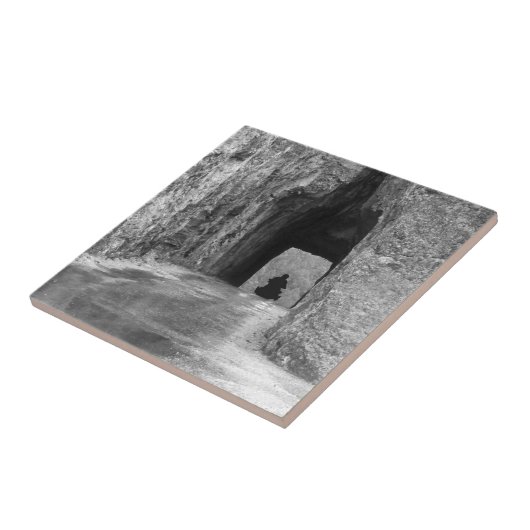 Needles Highway Tunnel Fliese (Seite)