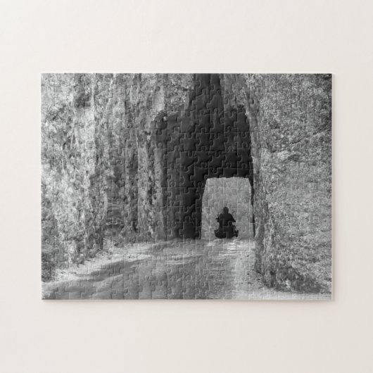Needles Highway Tunnel Puzzle (Horizontal)