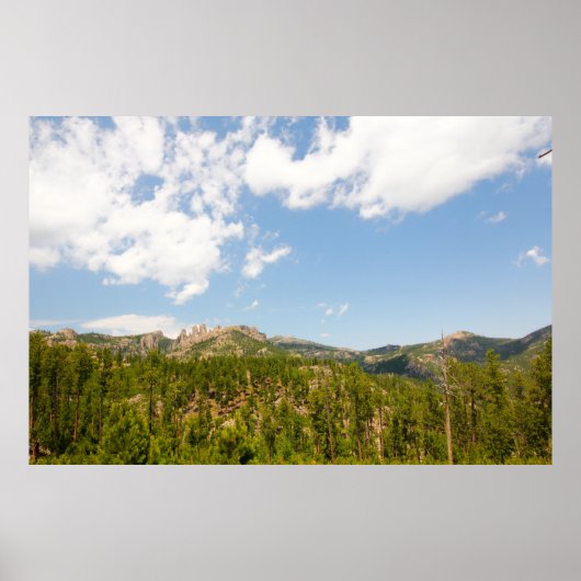 Needles Highway View, South Dakota Poster (Vorne)