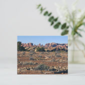 Needles vom Pothole Point Trail Canyonlands Postkarte (Stehend Vorderseite)