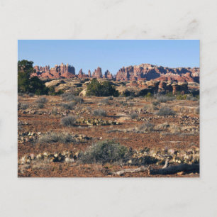 Needles vom Pothole Point Trail Canyonlands Postkarte