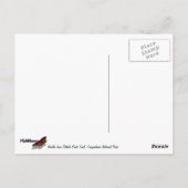 Needles vom Pothole Point Trail Canyonlands Postkarte (Rückseite)