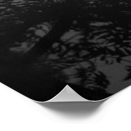 Neem Tree Reflection Poster (Ecke)