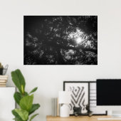 Neem Tree Reflection Poster (Heimbüro)