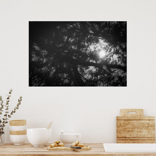 Neem Tree Reflection Poster (Küche)
