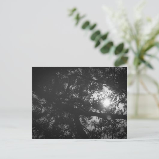 Neem Tree Reflection Postkarte (Stehend Vorderseite)