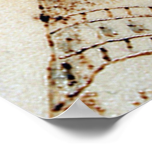 Nefertit, Königin von Ägypten Poster (Ecke)