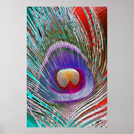 Negative Pfauenfeder Poster (Vorne)