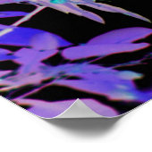 Negativer Filmeffekt Waxwing Bird Animal Poster (Ecke)