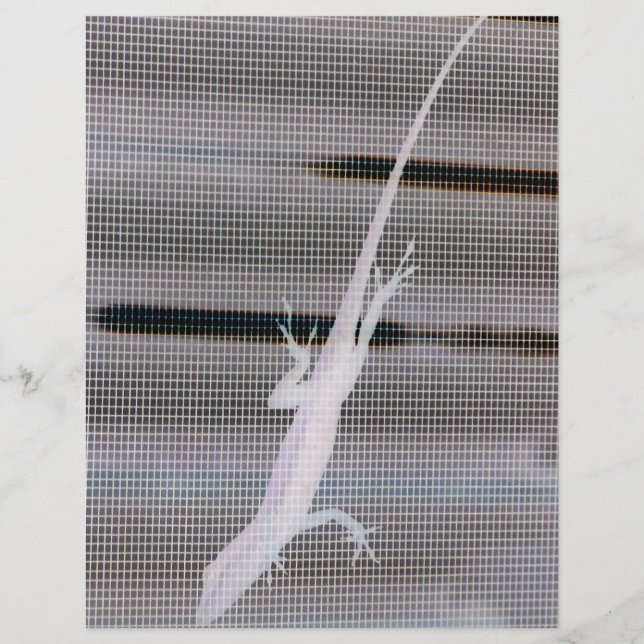 Negatives Bild einer Eidechse auf einem Fenster (Vorderseite)