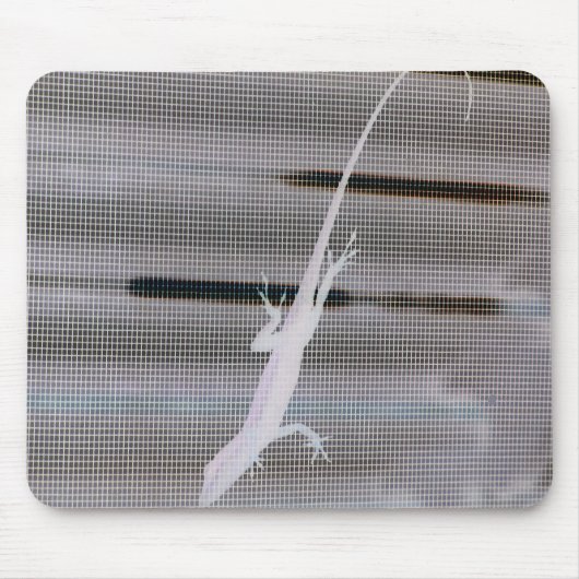 Negatives Bild einer Eidechse auf einem Fenster Mousepad (Vorne)