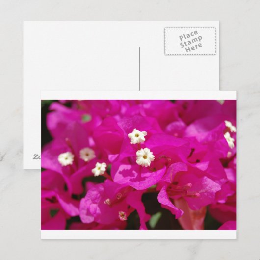 Negril, Jamaika Postkarte (Vorne/Hinten)