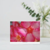 Negril, Jamaika Postkarte (Stehend Vorderseite)