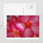 Negril, Jamaika Postkarte (Vorne/Hinten)