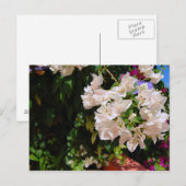 Negril, Jamaika Postkarte (Vorne/Hinten)