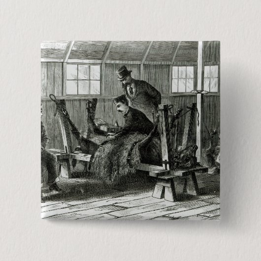 Nehmen des Virus vom Kalb Button (Vorderseite)