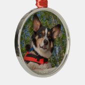 Nehmen eines Bruches Silbernes Ornament (Rechts)