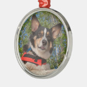 Nehmen eines Bruches Silbernes Ornament (Links)