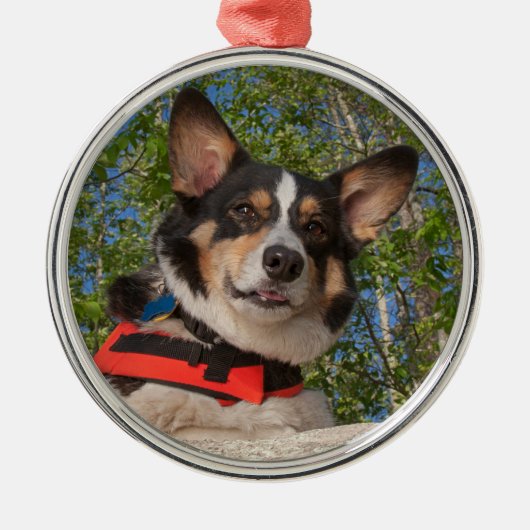 Nehmen eines Bruches Silbernes Ornament (Vorne)