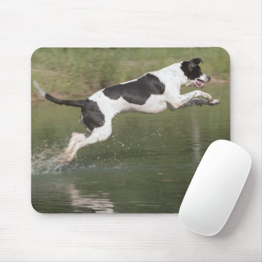 Nehmen eines Tauchens Mousepad (Mit Mouse)