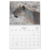 Nehmen Sie am Pride teil: Löwenkalender Kalender (Jan 2027)