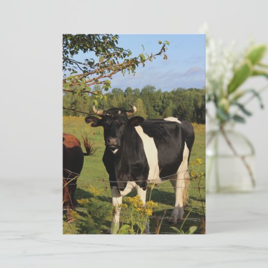 Nehmen Sie den Stier durch die Hörner Einladung (Stehend Vorderseite)