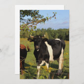 Nehmen Sie den Stier durch die Hörner Einladung (Vorne/Hinten)