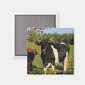 Nehmen Sie den Stier durch die Hörner Magnet (Vorderseite/Rückseite)