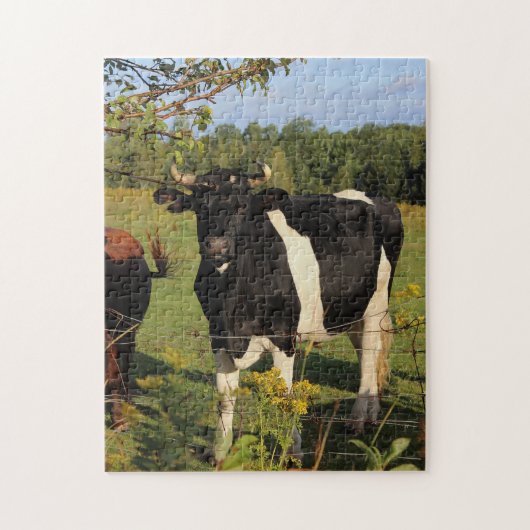 Nehmen Sie den Stier durch die Hörner Puzzle (Vertikal)
