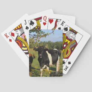Nehmen Sie den Stier durch die Hörner Spielkarten