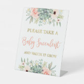 Nehmen Sie ein Baby-Sukkulat Sockelschild (Vorderseite)