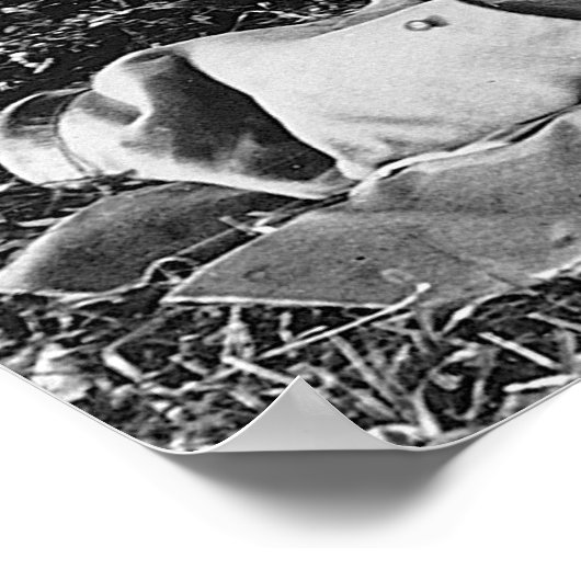 Nehmen Sie einen Mulligan: 1906 Poster (Ecke)